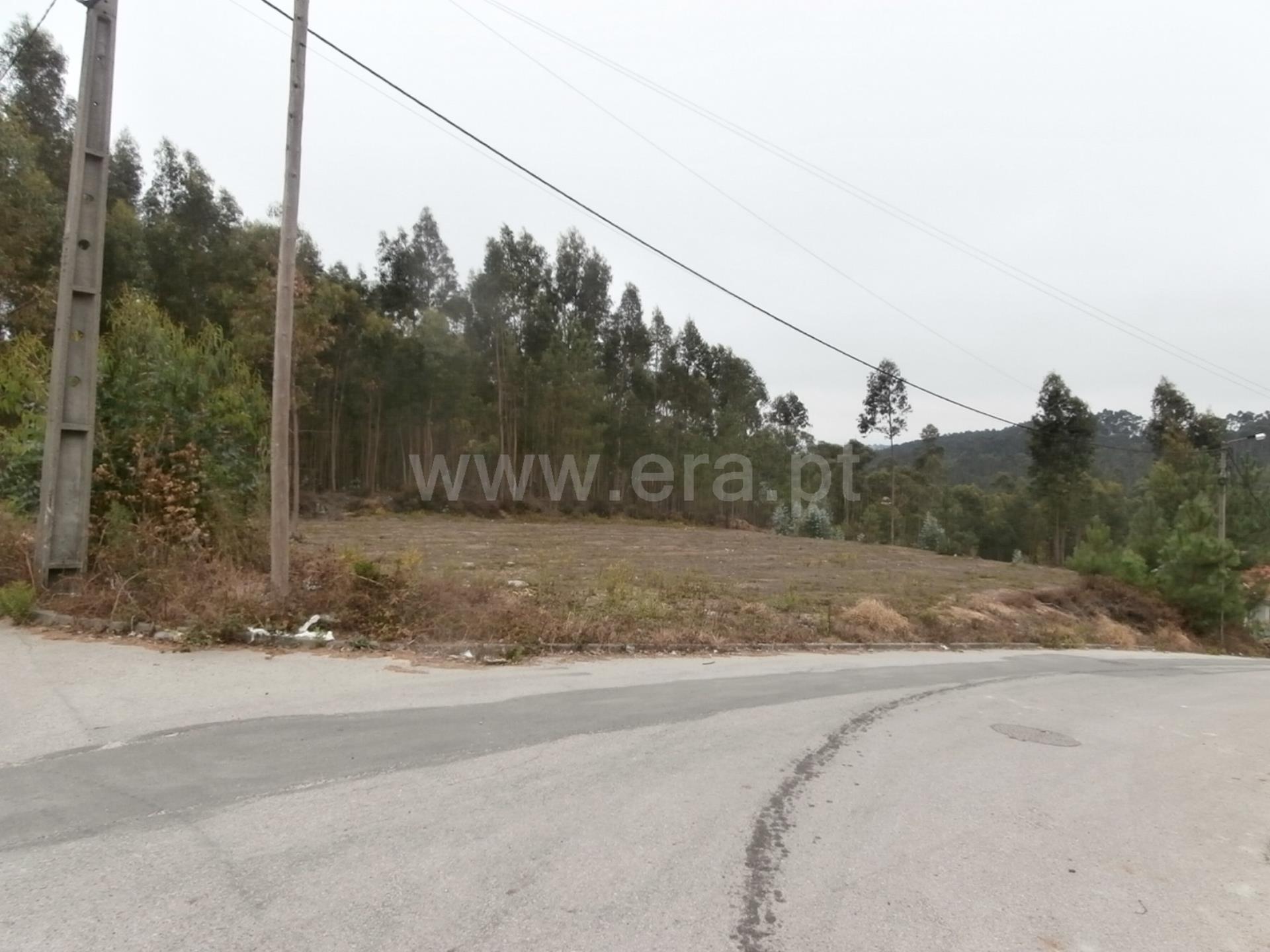 Land for sale in Santa Maria da Feira, Portugal — €58,000
