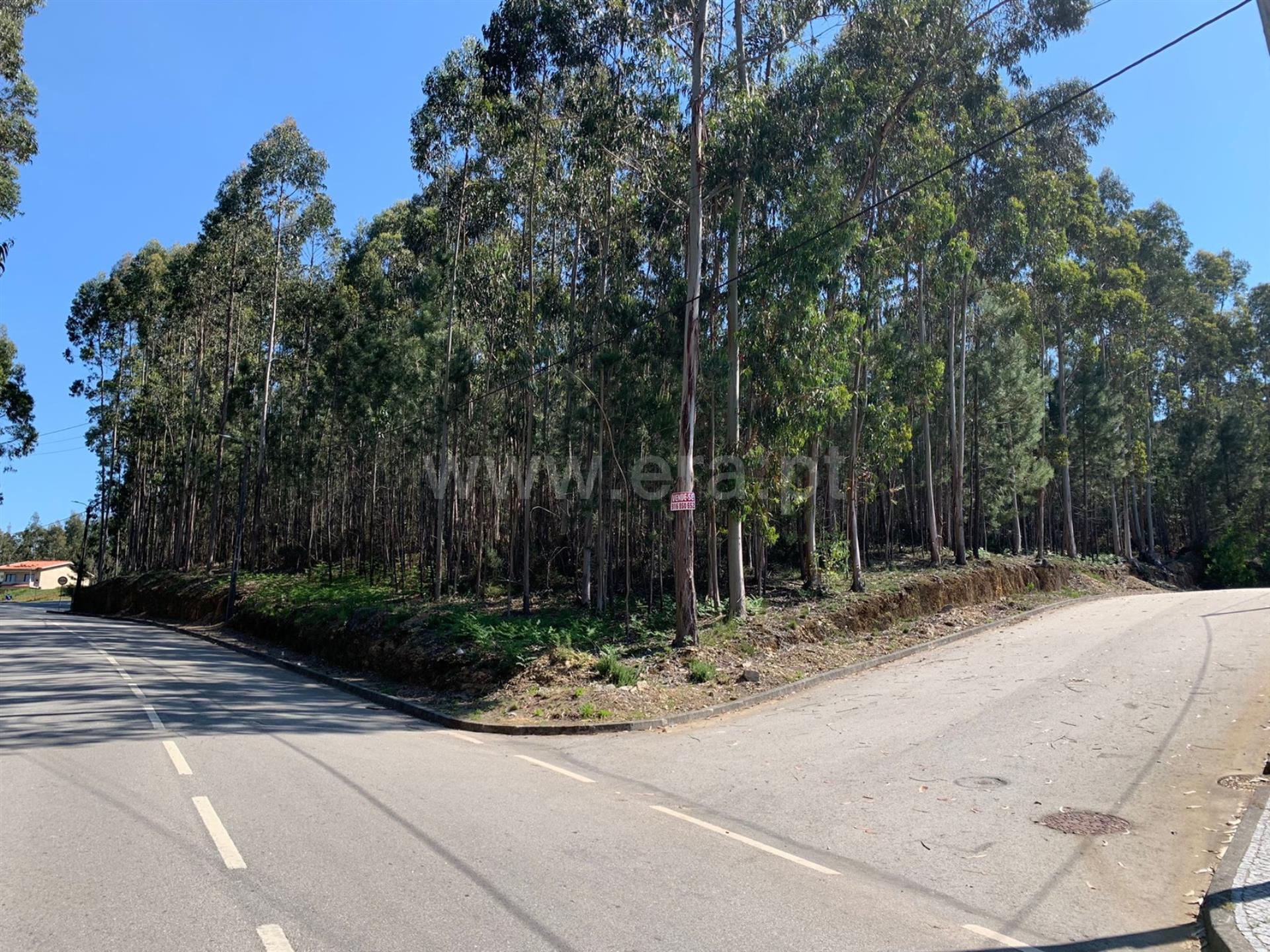 Land for sale in Santa Maria da Feira, Portugal — €320,000