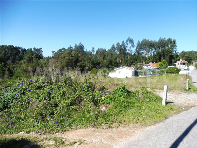 Terreno para Construção  com Rústico Santa Maria da Feira, Fornos - 1246424 - 2