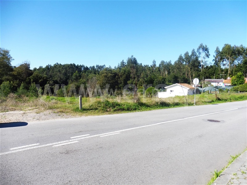Terreno para Construção  com Rústico Santa Maria da Feira, Fornos - 1246424 - 3