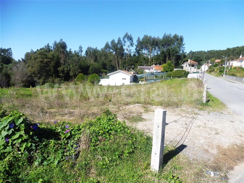 Terreno para Construção  com Rústico Santa Maria da Feira, Fornos - 1246424 - 5