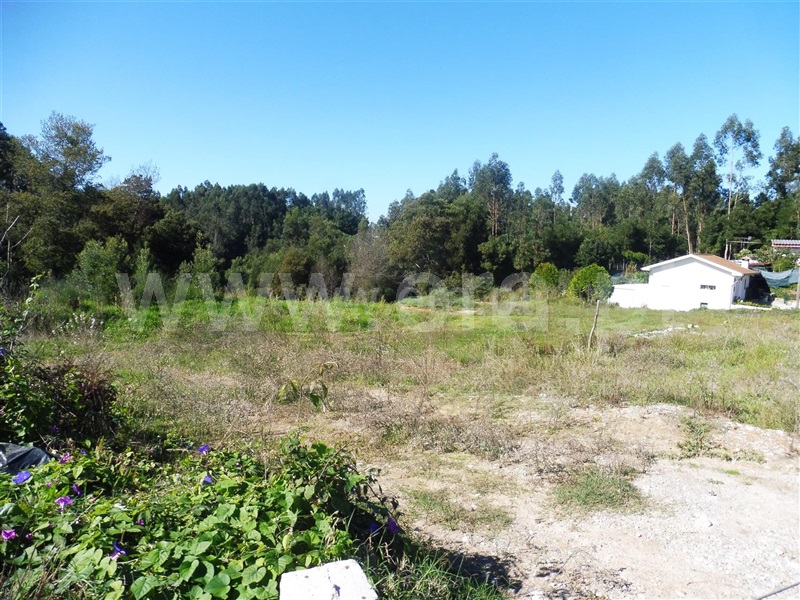 Terreno para Construção  com Rústico Santa Maria da Feira, Fornos - 1246424 - 6