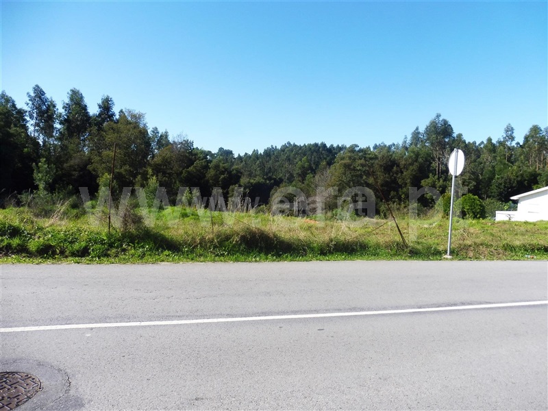 Terreno para Construção  com Rústico Santa Maria da Feira, Fornos - 1246424 - 7