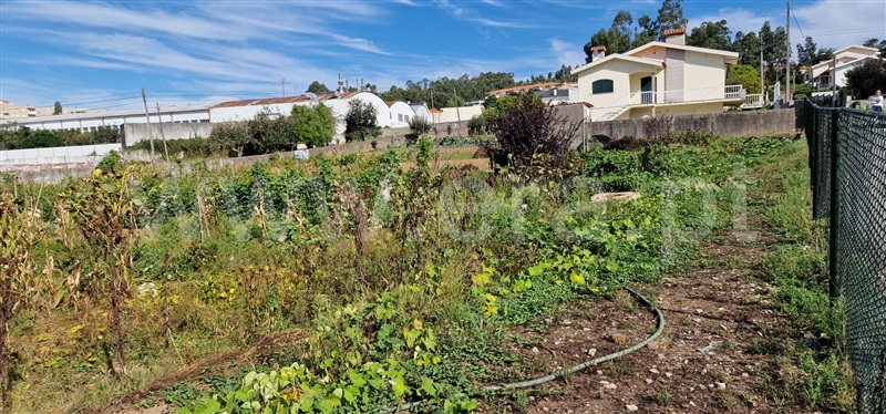 Terreno para Construção  Santa Maria da Feira, Fornos - 1352737 - 3