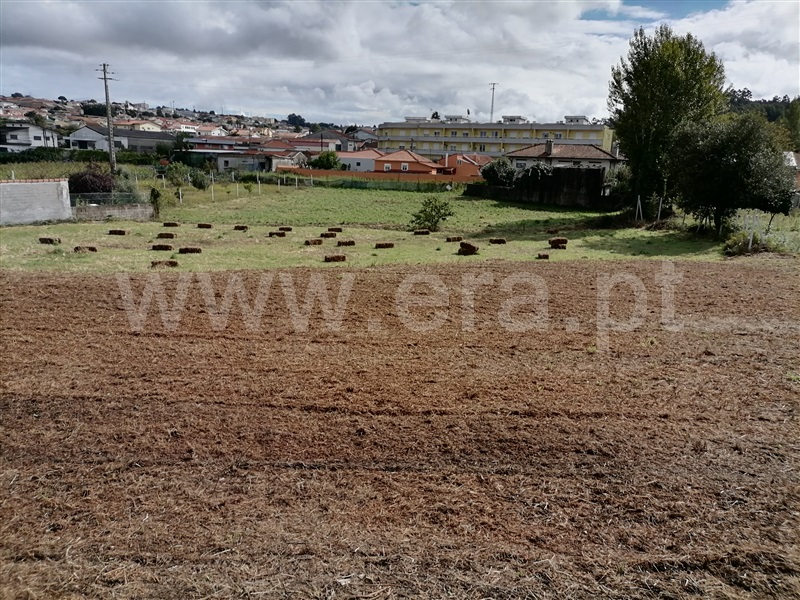 Terreno para Construção / Santa Maria da Feira, Lourosa