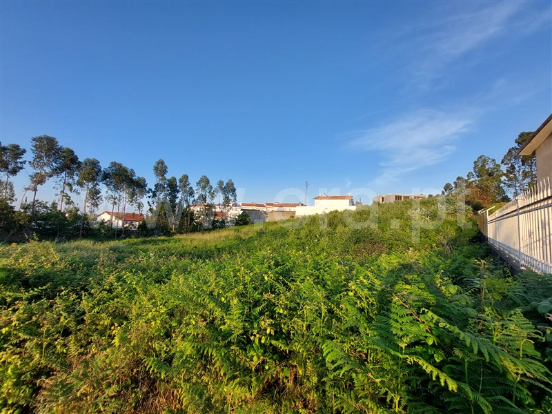 Terreno para Construção  Santa Maria da Feira, Lourosa - 1482698 - 1