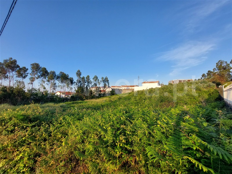 Terreno para Construção  Santa Maria da Feira, Lourosa - 1482698 - 2