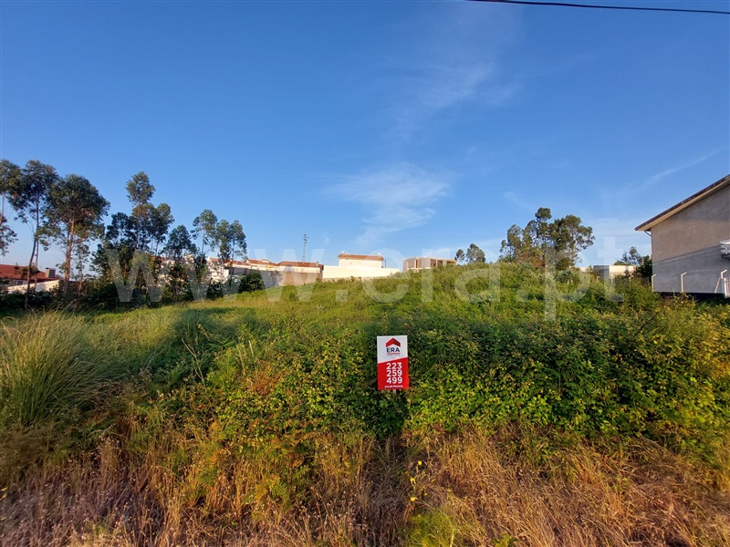 Terreno para Construção  Santa Maria da Feira, Lourosa - 1482698 - 5