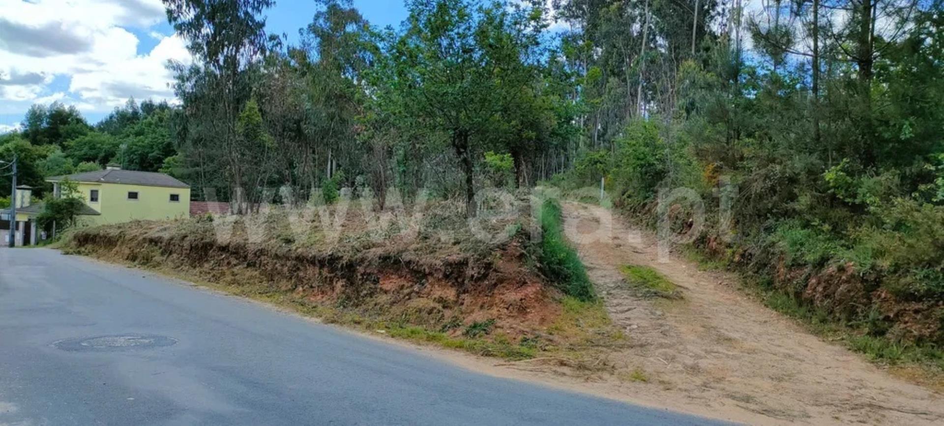 Land for sale in Santa Maria da Feira, Portugal — €220,000