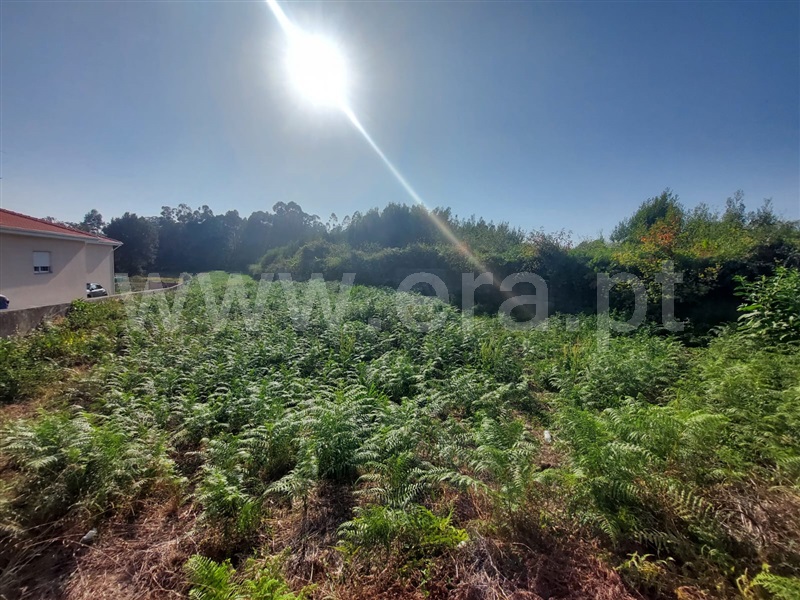 Terreno para Construção  Santa Maria da Feira, Nogueira da Regedoura - 1498219 - 3