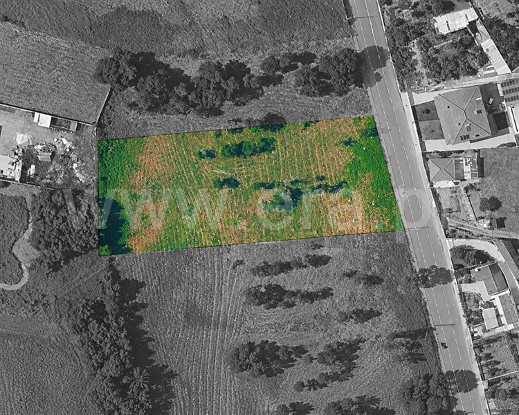 Terreno para Construção / Santa Maria da Feira, Rio Meão