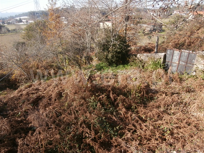 Terreno para Construção / Santa Maria da Feira, Romariz /Milheirós de Poiares e Pigeiros