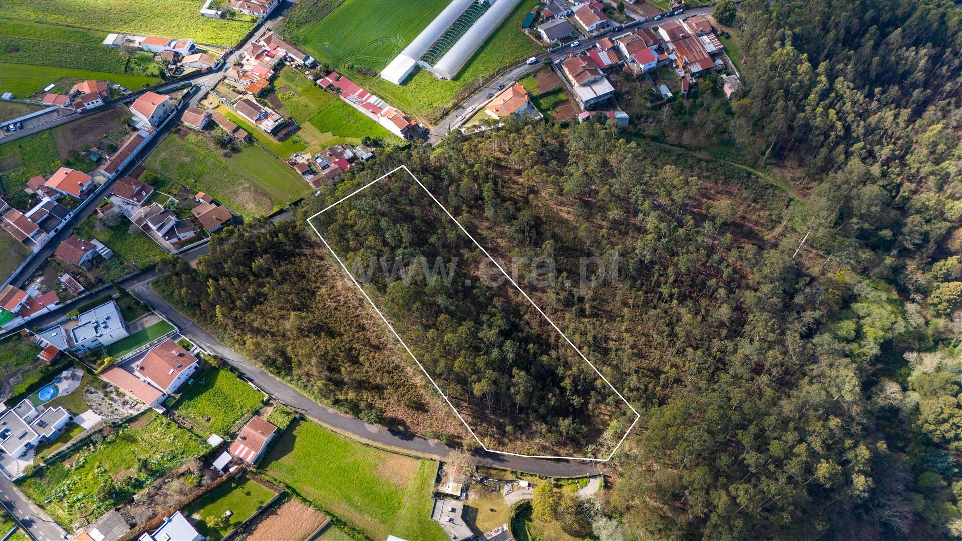 Land for sale in Santa Maria da Feira, Portugal — €87,500