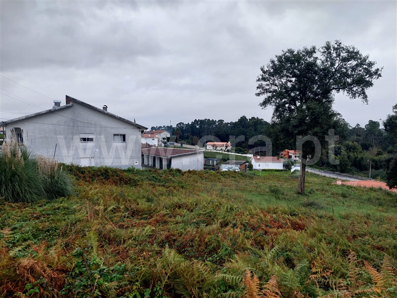 Terreno para Construção  com Rústico Santa Maria da Feira, Sanguedo - 1441661 - 2
