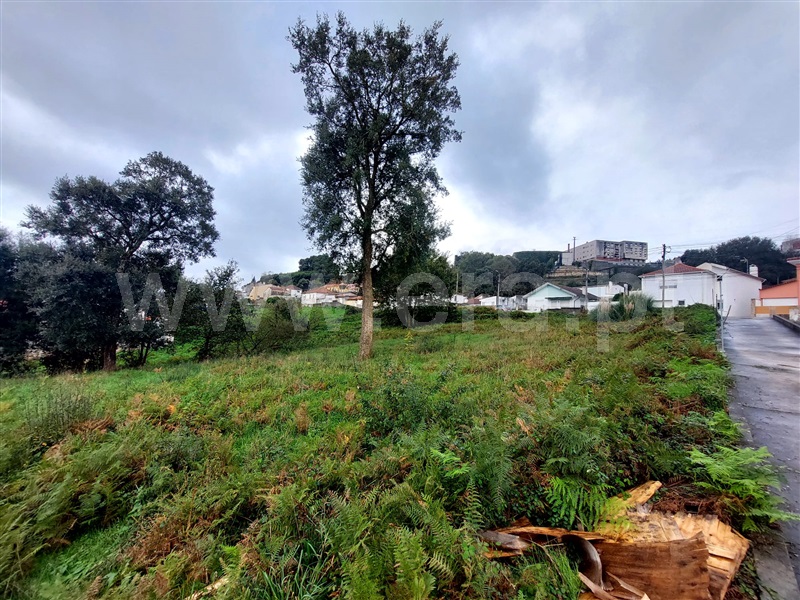 Terreno para Construção  com Rústico Santa Maria da Feira, Sanguedo - 1441661 - 2