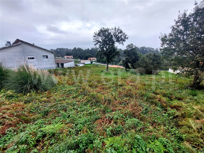 Terreno para Construção  com Rústico Santa Maria da Feira, Sanguedo - 1441661 - 3