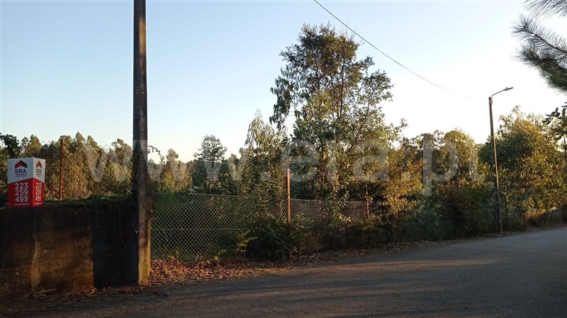 Terreno para Construção  Santa Maria da Feira, Sanguedo - 1506001 - 2