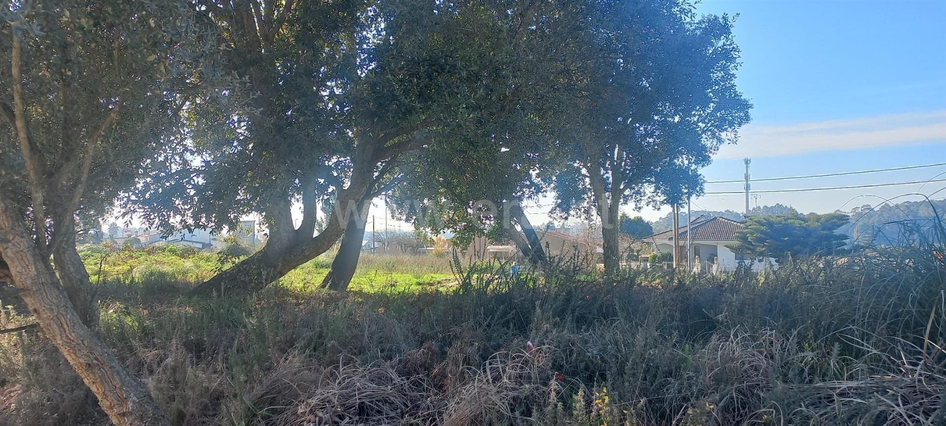 Land for sale in Santa Maria da Feira, Portugal — €62,000