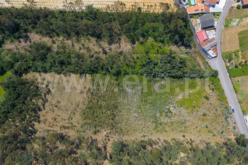 Terreno para Construção  Santa Maria da Feira, Santa Maria da Feira - 1488633 - 3