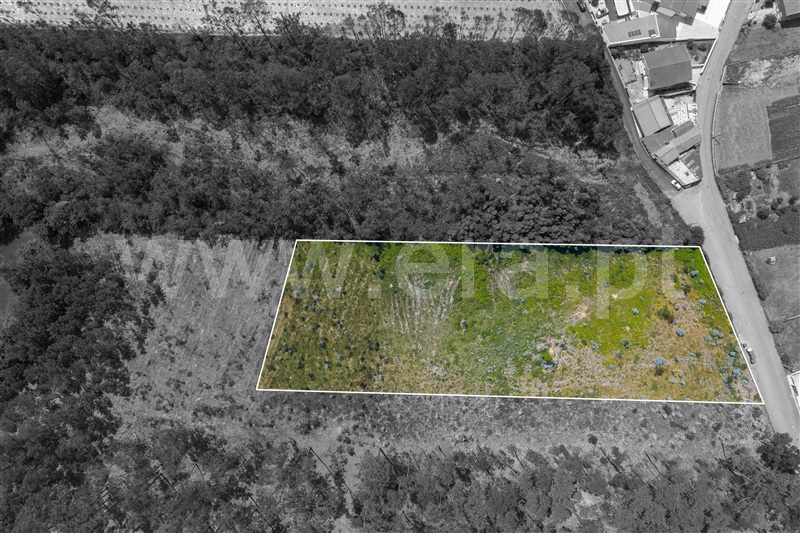 Terreno para Construção  Santa Maria da Feira, Santa Maria da Feira - 1488633 - 4