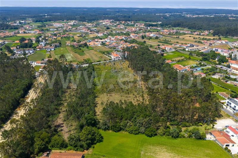 Terreno para Construção  Santa Maria da Feira, Santa Maria da Feira - 1488633 - 5