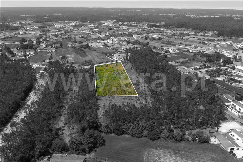 Terreno para Construção  Santa Maria da Feira, Santa Maria da Feira - 1488633 - 6