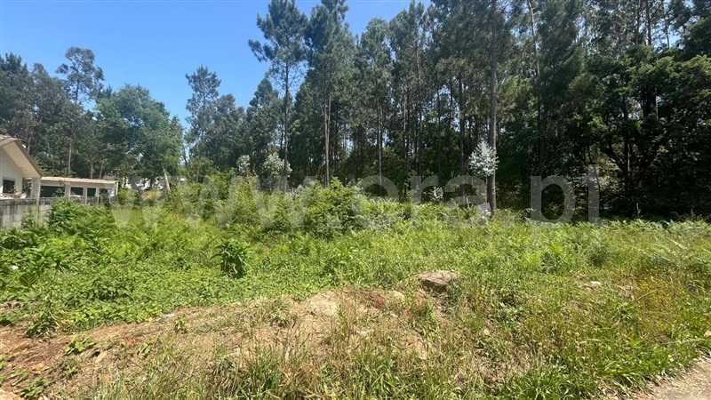 Terreno para Construção / Santa Maria da Feira, São João de Vêr 2
