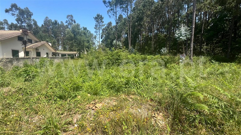 Terreno para Construção  Santa Maria da Feira, São João de Vêr 2 - 1484634 - 3