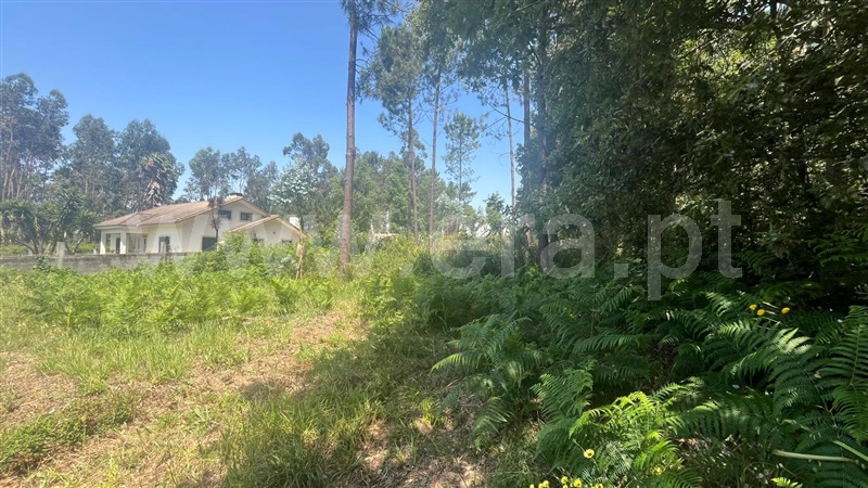Terreno para Construção  Santa Maria da Feira, São João de Vêr 2 - 1484634 - 4