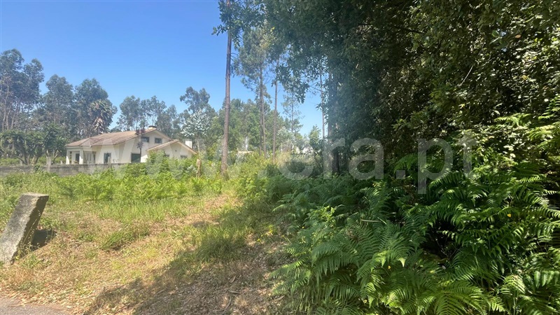 Terreno para Construção  Santa Maria da Feira, São João de Vêr 2 - 1484634 - 5