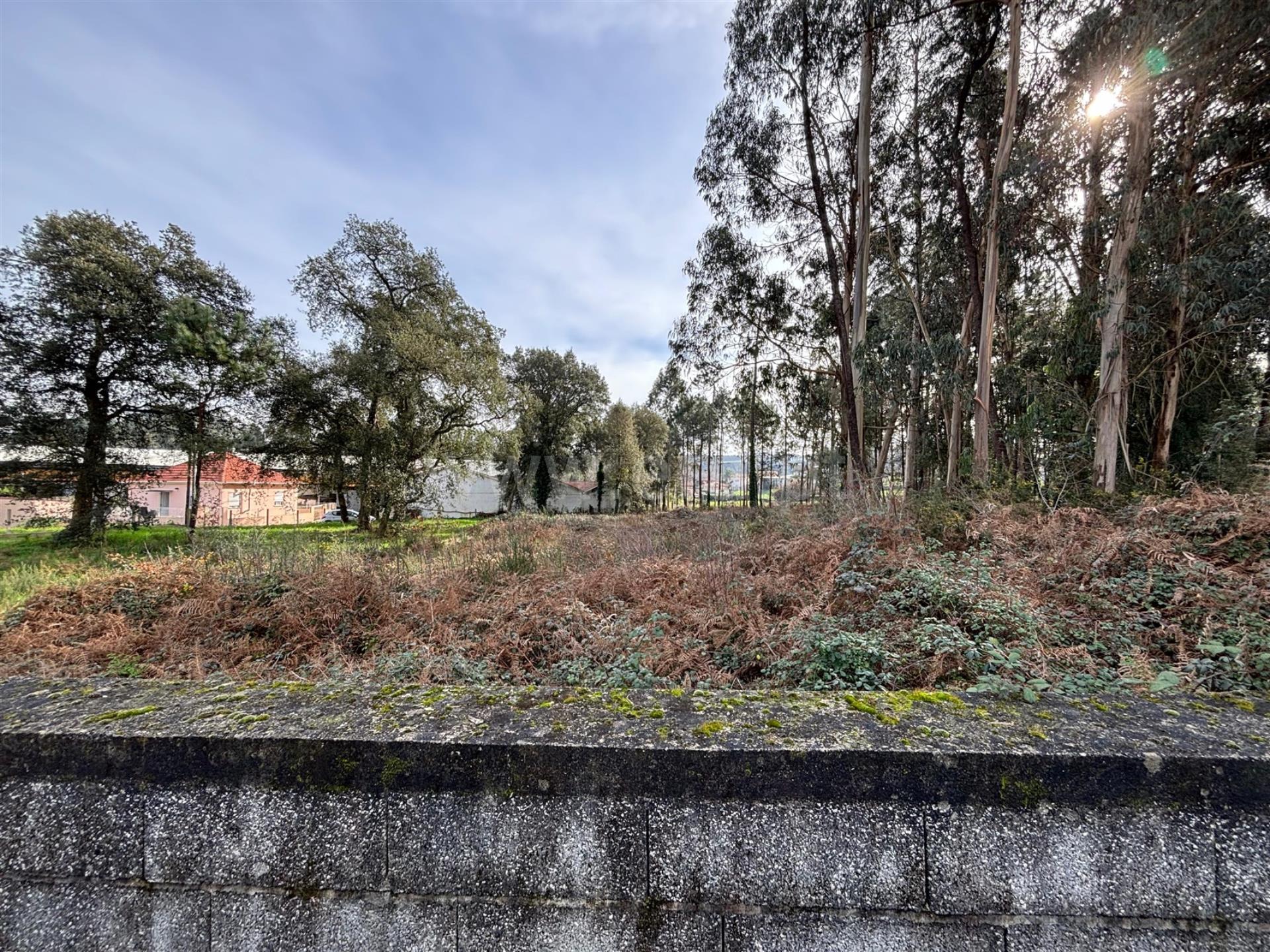 Land for sale in Santa Maria da Feira, Portugal — €64,000