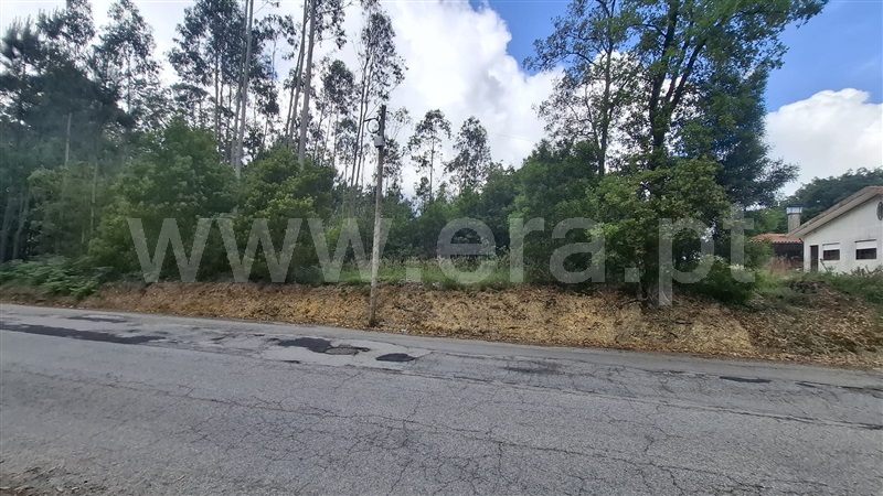 Terreno para Construção / Santa Maria da Feira, São Miguel do Souto e Mosteirô