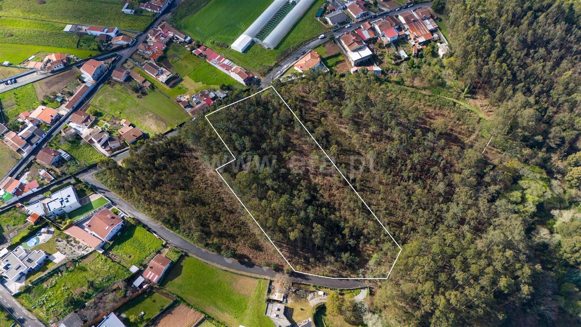 Land for sale in Santa Maria da Feira, Portugal — €52,500
