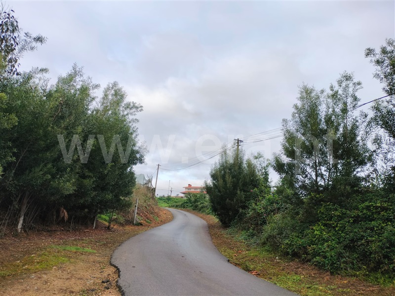 Terreno para Construção  Santa Maria da Feira, São Paio de Oleiros - 1451593 - 2