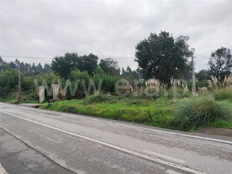 Terreno para Construção  Santa Maria da Feira, São Paio de Oleiros - 1451593 - 3