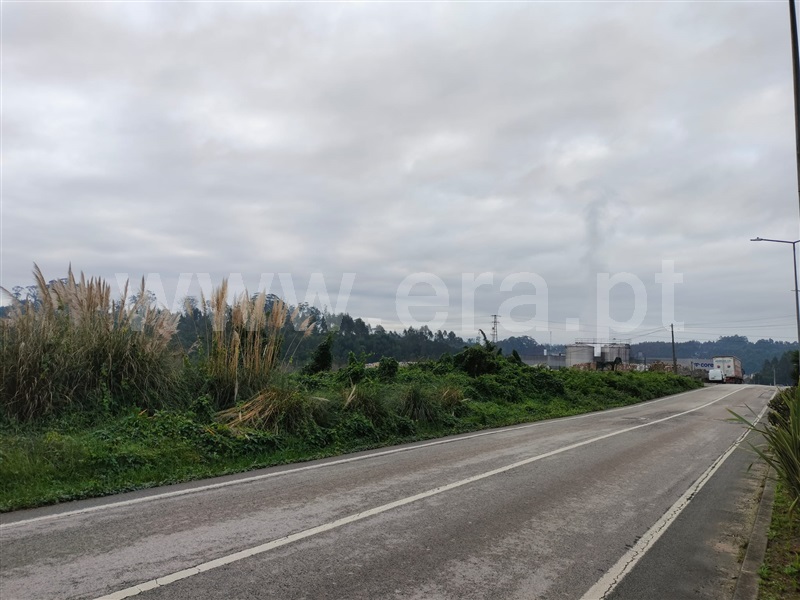 Terreno para Construção  Santa Maria da Feira, São Paio de Oleiros - 1451593 - 4