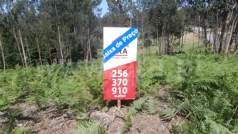 Terreno para Construção / Santa Maria da Feira, Souto e Mosteirô