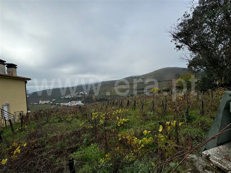 Terreno Rústico  com Urbano Santa Marta de Penaguião, Lobrigos (São Miguel e São João Baptista) e Sanhoane - 1446601 - 5