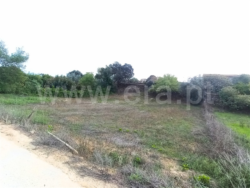 Terreno para Construção / Santarém, Advagar