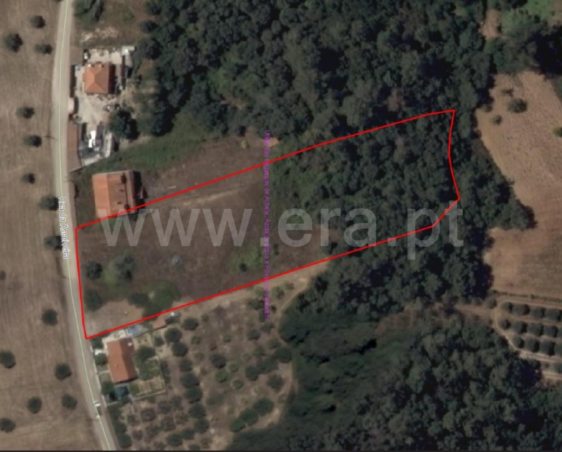 Terreno em Santarém