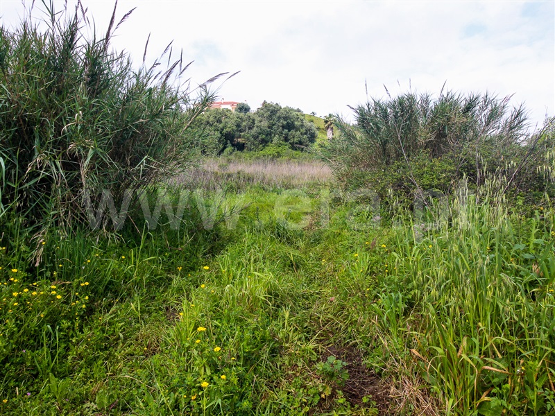 Terreno para Construção  Santarém, Moçarria - 1475383 - 3