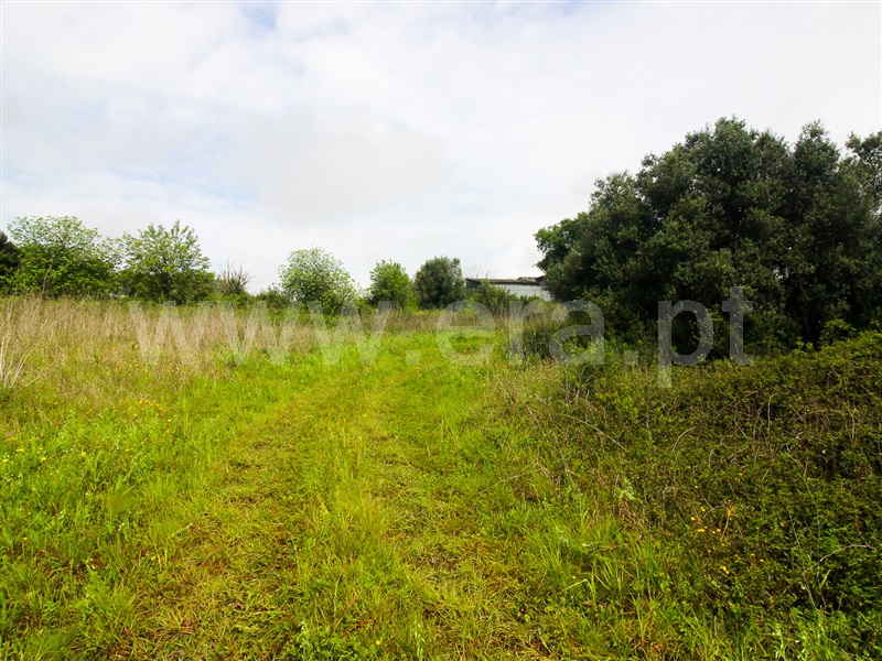 Terreno para Construção  Santarém, Moçarria - 1475383 - 4