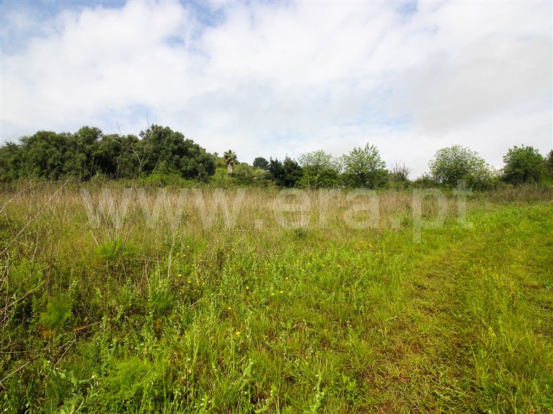 Terreno para Construção  Santarém, Moçarria - 1475383 - 5