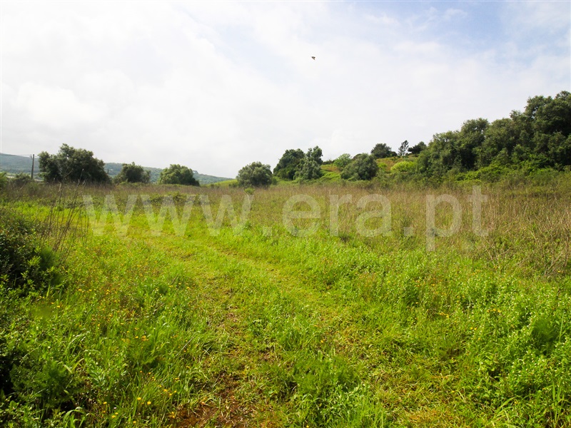 Terreno para Construção  Santarém, Moçarria - 1475383 - 6