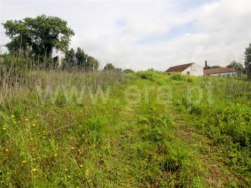 Terreno para Construção  Santarém, Moçarria - 1475383 - 7