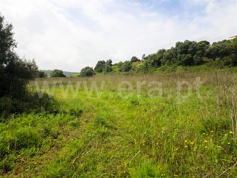 Terreno para Construção  Santarém, Moçarria - 1475383 - 8