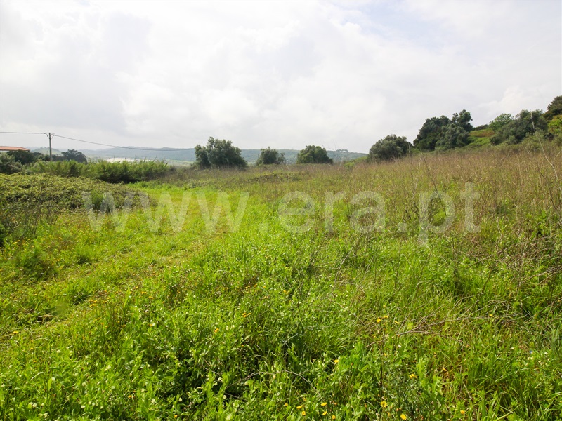 Terreno para Construção  Santarém, Moçarria - 1475383 - 9