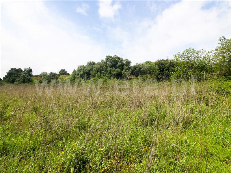 Terreno para Construção  Santarém, Moçarria - 1475383 - 11