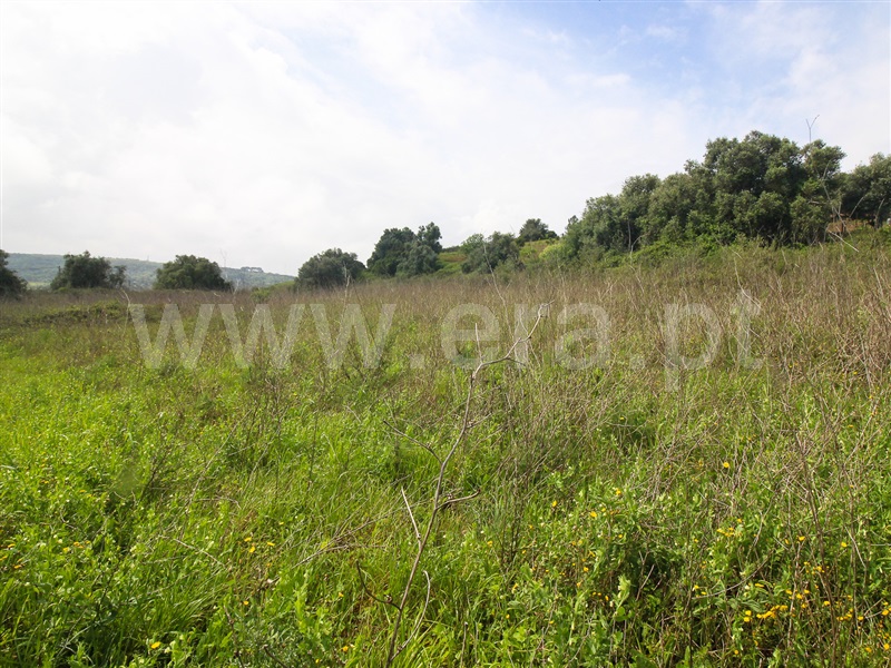 Terreno para Construção  Santarém, Moçarria - 1475383 - 12