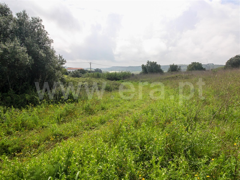 Terreno para Construção  Santarém, Moçarria - 1475383 - 13